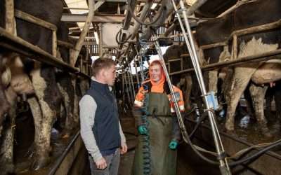 Trehane scholar 2024 – Success built on youth and dairy experience